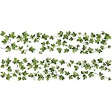 Sh Ticaret Roommates 27 x 12,7 x 2,3 cm "klettern Ivy" Duvar Çıkartması Tekrar Kullanılabilir