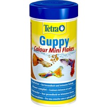 Ayrex Tetra Guppy Color, Birinci Sınıf Pul Gıda 250ML