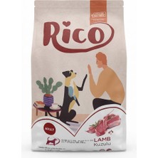 Rico Kuzulu Yetişkin Köpek Maması ( Kuzulu) - 3 kg