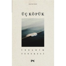 Profil Kitap Üç Köpük Ibrahim Tenekeci