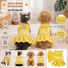 Daisy Tasarım Daisy Kedi Köpek Kıyafeti Rahat Tasarım Özel Tasarım Kolyeli ve Tokalı