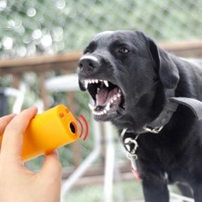 Ultrasonik Köpeksavar Köpek Kovucu Köpek Kornası Eğitim Cihazı