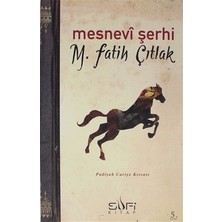 Adalı Store Mesnevi Şerhi - Tasavvuf Öğretileri ve Eğitim Düzeyi