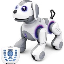 Adalı Store Uzaktan Kumandalı Programlanabilir Robot ile Eğlence