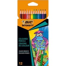 Adalı Store 12'li Üçgen Kuru Boya Seti, Color Up Serisi
