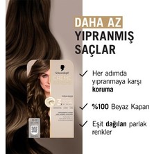 Adalı Store Açık Kahve Renkli Saç Boyası Onarıcı Bakım Seti