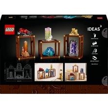 Adalı Store Mineral Koleksiyonu Seti, Yetişkinler Için 6 Farklı Mineral