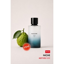 Royal Platinum Blue Stone 100 ml Nıche Parfüm