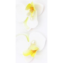 Suda İthalat Çelik Küpe  ( 6cm )