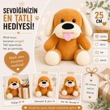 OEM Ofis Hediyesi Eşek 20-25 cm Figürlü Pelüş Ayıcık, 20 cm Teddy Bear,sevgiliye Hediye,ayı Teddy,peluş Ayıcık,plush Toys, (Dilli Köpek)