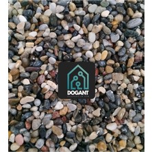 OEM Dogant Dolomit Teraryum Fanus Saksı Dere Çakıl Taşı, 2 kg