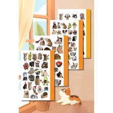 OEM Cat Collection Sticker Seti, Ajanda ve Günlük Için, Kendinden Yapışkanlı, 10X20 Cm, 4'lü Set, Planlayıcı ve Bullet Journal Dekorasyonu, Kedi Temalı