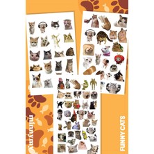OEM Cat Collection Sticker Seti, Ajanda ve Günlük Için, Kendinden Yapışkanlı, Dekoratif, 10X20 Cm, 3'lü Set, Planlayıcı ve Bullet Journal Için, Kedi Temalı