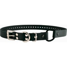 TeknoKapsül Educator Bungee Köpek Tasması, Biyothane, Su Geçirmez, Kokusuz, Metal Toka ve D Halka, Konforlu Halka ile Kişiye Özel Uyum Için Ayarlanabilir, 3/4 Inç, Siyah