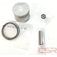 Moto SPL Piston Segman Today 025MM Csr
