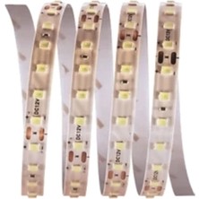 Cata CT-4540 120 Çip Şerit LED 20 Metre