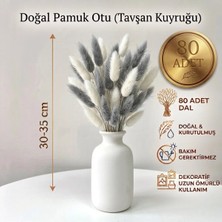Dekora Çiçek Kurutulmuş Pamuk Otu Tavşan Kuyruğu Gelin Buketi Aranjman Çiçeği Lagurus Beyaz ve Gri 80 Dal