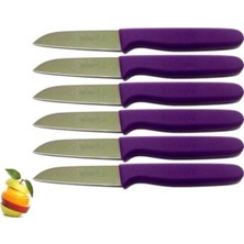 St. Morritz Sürmene Sürbısa 061007 Meyve Bıçağı 6 Lı Set Mor