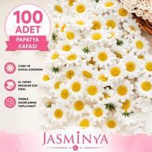 Jasminya 100 Adet Beyaz Yapay Çiçek – Düğün, Nişan, Hediye Süsleme Için Papatya