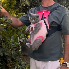 St. Morritz Kedi Köpek Ana Kucağı