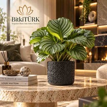 Bitkitürk Kabartmalı Beton Saksı – Özel Üretim Dekoratif Saksı