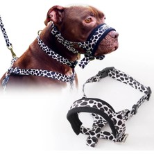 St. Morritz Desenli Köpek Ağızlığı; Havlama ve Çekiştirme Önleyici; Köpek Ağızlık; Eğitim Tasması