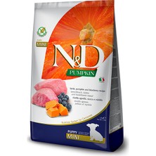 N&D Pumpkin Kuzu Etli Yavru Küçük Irk Köpek Maması 2,5 Kg | Lamb & Blueberry Puppy Mini