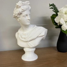 St. Morritz Apollo Büst Antik Yunan Heykel 25CM Michelangelo Apollon Büstü