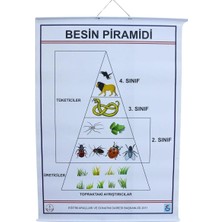 St. Morritz Besin Pramidi