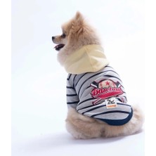 Pawstar 26733 Sarı Seattle Pitch Hoodie