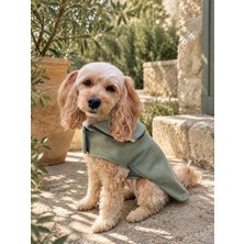 Maia Studio Mint Soft Kaşe Yeşil Köpek Kabanı -Köpek Montu