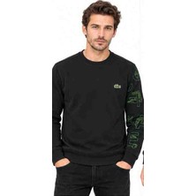 Lacoste Bisiklet Yaka Grafik Regular Fit Siyah Sweatshirt