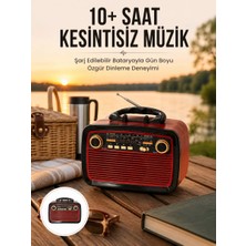 Nemere İthalat Bluetooth Hoparlör Ahşap Renk Vintage Işıklı Nostaljik Radyo Fm Ahşap Görünümlü Yeni Nesil