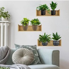 Nemere İthalat Raflı Bitki Tasarımlı Yapışkanlı Sticker 20*30 cm 3lü Set Nemere Ithalat
