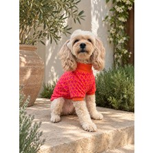 Maia Studio Vivetta Köpek Sweatshirt (Turuncu & Pembe)