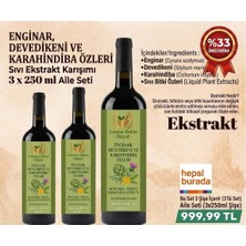 3 x 250 ml Enginar, Devedikeni ve Karahindiba Özleri Sıvı Ekstrakt | Doğal Bitkisel Destek Karışım Lokman Hekim Hayat