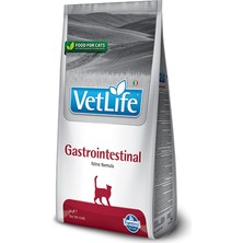 Ayrex Farmına Vet Life Cat Gastroıntestınal 5kg