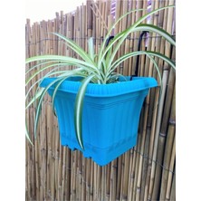 Ayrex Ekodoğa Balkon Saksı 2 Lt 1 Adet Turkuaz Renkli Askılı Plastik Ova