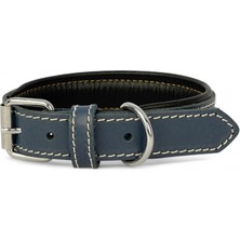 Ayrex Canini Collar Rainbow S Hakiki Deri Orta & Küçük Köpek Tasması – S Beden, Orta ve Küç