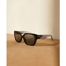 Armani Exchange AX4125SU Güneş Gözlüğü