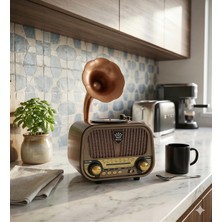 Ayrex Dexxony Nostaljik Ahşap Radyo Bluetooth Hoparlör Usb-Sd Kart Mp3 Çalar 3 Band Fm/am/sw Şar