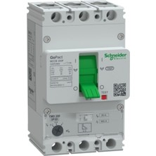 Schneider Gopact Şalter 200B, 3P3D 36KA Ac 80A Tmd Ayar Saha