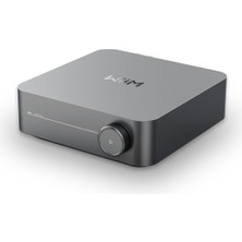 Ayrex Wiim Amplifikatör: Çok Odalı Akış Amplifikatörü / Airplay, Google Cast, Alexa ile Uyuml