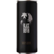 Ayrex Black Bruin Enerji 250 ml