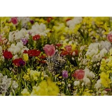 Ayrex 5d Yapışan Boncuk Mozaik Tablo 30 * 40 cm XQH90650