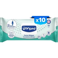 Ayrex Canped Perine Bölgesi Temizleme Havlusu, 50'li X10, 30X32CM, Hassas Ciltler Için