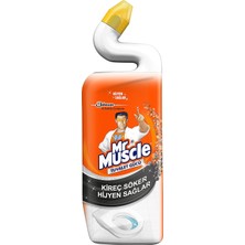 Ayrex Tuvalet Gücü Kireç Sökücü (1 x 750 Ml)