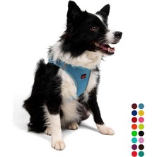 Ayrex Tailpetz Air-Mesh Küçük ve Orta Irk Kedi Köpek Göğüs Tasması - Yumuşak, Nefes Alabili