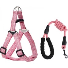 Ayrex Küçük Köpek Tasması (S) 0.6cm - Küçük Boy - Göğüs Kemerli, Tutma Saplı Ayarlanabil