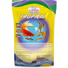 Ayrex Lotus Tropical Granulat Lepistes Moli Kılıç Tetra Tropikal Akvaryum Balık Yemi 860 gr